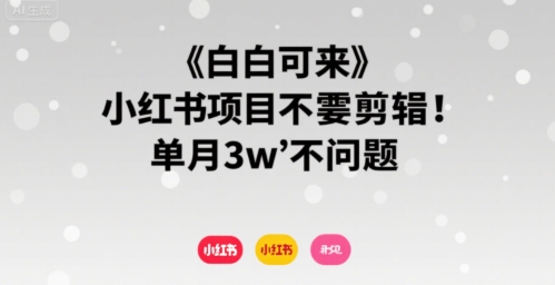 小白可来 小红书项目不需要剪辑 单月3w不是问题-HEIXMI（中国站）