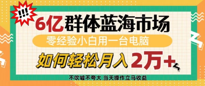 6亿群体蓝海市场，零经验小白用一台电脑，如何轻松月入过w【揭秘】-HEIXMI（中国站）