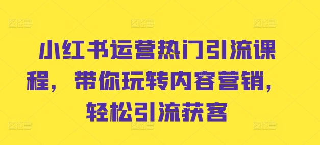小红书运营热门引流课程，带你玩转内容营销，轻松引流获客-HEIXMI（中国站）