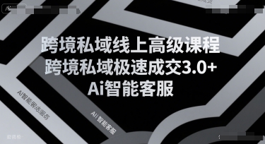 跨境私域线上高级课程，跨境私域极速成交3.0+Ai智能客服-HEIXMI（中国站）