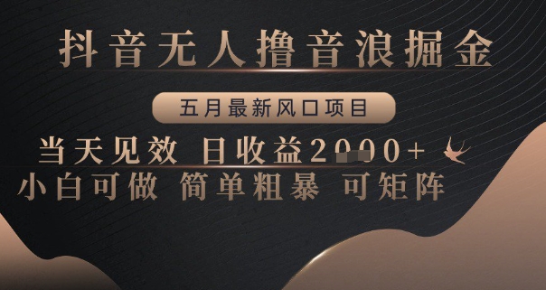 抖音无人撸音浪掘金，五月最新风口项目，当天见效，日收益多张，小白可做简单粗暴可矩阵【揭秘】 - HEIXMI（中国站）-HEIXMI（中国站）