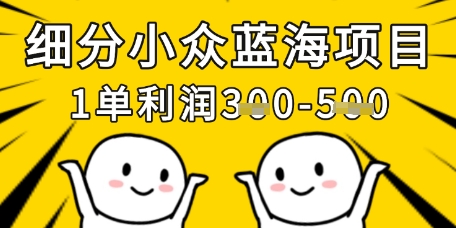 细分小众蓝海项目，一单利润3张，每月收入稳定过1w+-HEIXMI（中国站）
