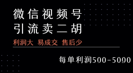 视频号卖二胡教程，利润大 易成交 售后少，一单利润5张+-HEIXMI（中国站）