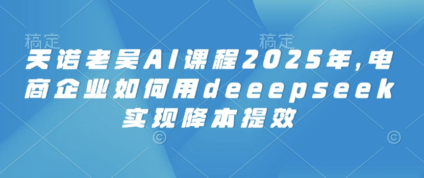 天诺老吴AI课程2025年，电商企业如何用deeepseek实现降本提效-HEIXMI（中国站）
