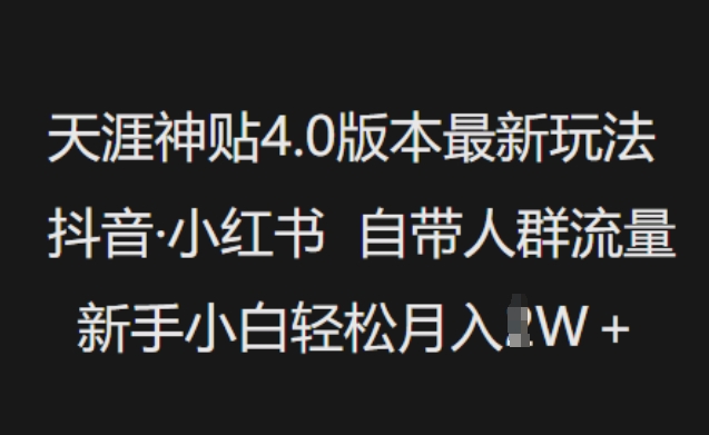 天涯神贴4.0版本最新玩法，抖音·小红书自带人群流量，新手小白轻松月入过W-HEIXMI（中国站）