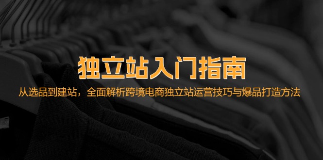 独立站入门指南：从选品到建站，全面解析跨境电商独立站运营技巧与爆品…-HEIXMI（中国站）