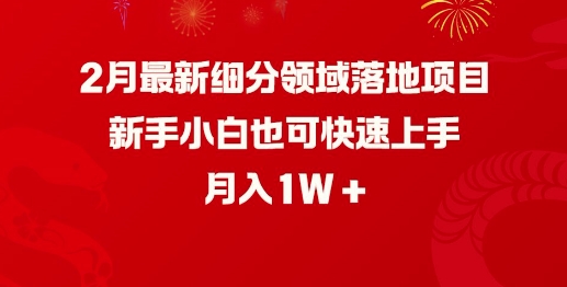 2月最新细分领域落地项目，新手小白也可快速上手，月入1W-HEIXMI（中国站）