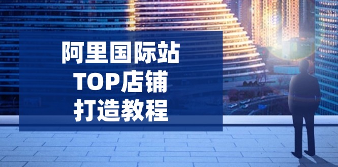 阿里国际站TOP店铺打造教程：涵盖平台到高阶，解决运营难题，提升询盘-HEIXMI（中国站）