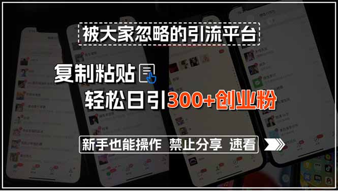 被大家忽略的引流平台，复制粘贴轻松日引300+创业粉，新手也能操作，禁…-HEIXMI（中国站）