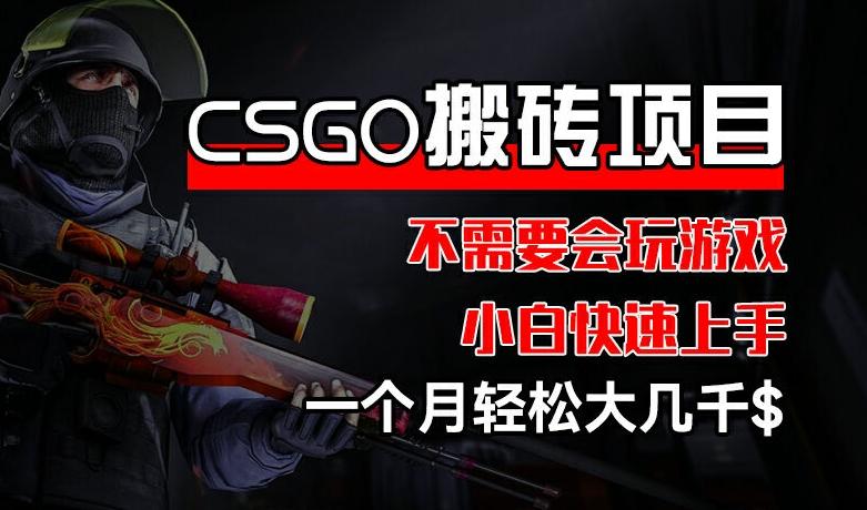 CSGO 装备搬砖项目，操作简单，不需要会玩游戏，小白也能快速上手，一个月轻松大几千【揭秘】-HEIXMI（中国站）