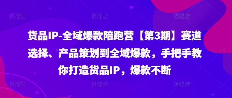 货品IP全域爆款陪跑营【第3期】赛道选择、产品策划到全域爆款，手把手教你打造货品IP，爆款不断-HEIXMI（中国站）