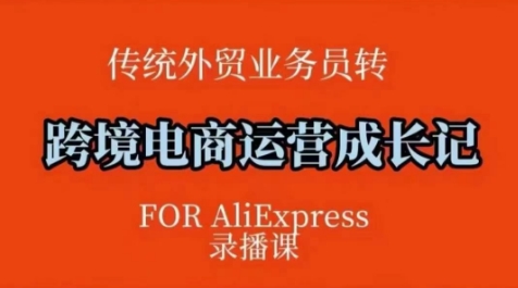 跨境电商速卖通运营课，​运营方法论+后台实操，逻辑清晰-HEIXMI（中国站）