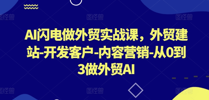 AI闪电做外贸实战课，​外贸建站-开发客户-内容营销-从0到3做外贸AI(更新)-HEIXMI（中国站）