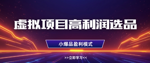 虚拟项目高利润选品方法，做好单店利润1W+，可多店倍增利润-HEIXMI（中国站）