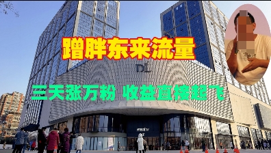 蹭胖东来流量，三天涨万粉，收益直接起飞-HEIXMI（中国站）