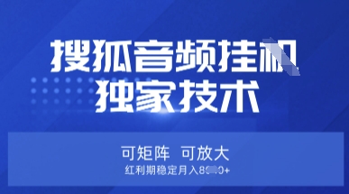 【搜狐音频挂G】独家技术，可矩阵可放大，红利期稳定月入8k【揭秘】-HEIXMI（中国站）