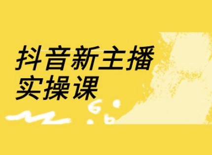 抖音新主播实操课，直播间流量运营线上实操课(18节)-HEIXMI（中国站）
