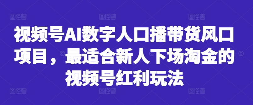 视频号AI数字人口播带货风口项目，最适合新人下场淘金的视频号红利玩法-HEIXMI（中国站）