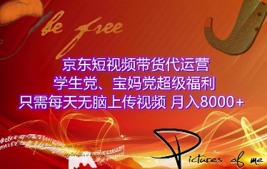 京东短视频带货代运营，学生党、宝妈党超级福利，只需每天无脑上传视频，月入8000+【仅揭秘】-HEIXMI（中国站）