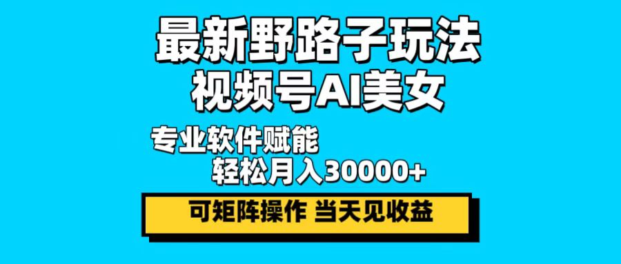 最新野路子玩法，视频号AI美女，当天见收益，轻松月入30000＋-HEIXMI（中国站）