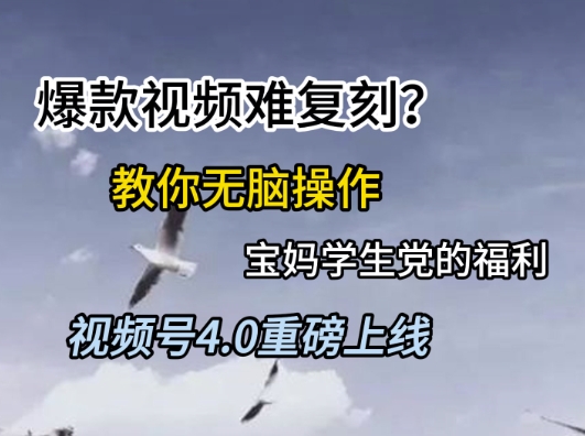 视频号4.0重磅上线，爆款视频难复刻？教你无脑操作宝妈学生党的福利【揭秘】-HEIXMI（中国站）