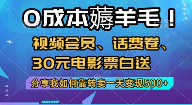 0成本薅羊毛!视频会员、话费卷、30元电影票白送，分享我如何靠转卖一天变现5张+【揭秘】-HEIXMI（中国站）