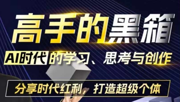高手的黑箱：AI时代学习、思考与创作-分红时代红利，打造超级个体-HEIXMI（中国站）