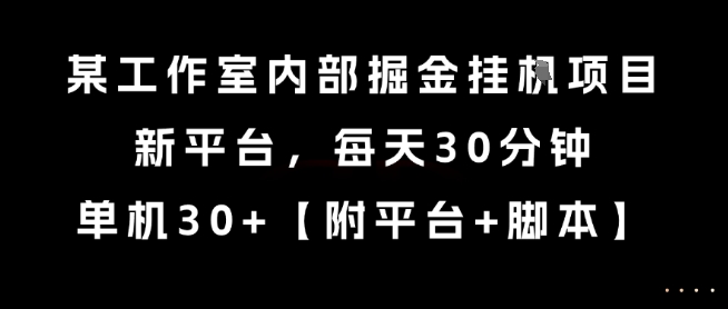 某工作室内部掘金挂G项目，新平台，每天30分钟，单机30+【揭秘】-HEIXMI（中国站）