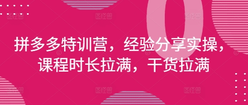 拼多多特训营，经验分享实操，课程时长拉满，干货拉满(更新25年4月)-HEIXMI（中国站）