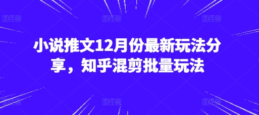 小说推文12月份最新玩法分享，知乎混剪批量玩法-HEIXMI（中国站）