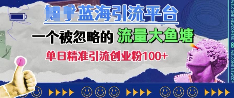 豆瓣蓝海引流平台，一个被忽略的流量大鱼塘，单日精准引流创业粉100+-HEIXMI（中国站）