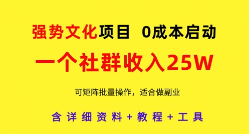 强势文化项目，一个社群收入25个W，0成本启动，可矩阵批量操作，原创详细实操教程-HEIXMI（中国站）
