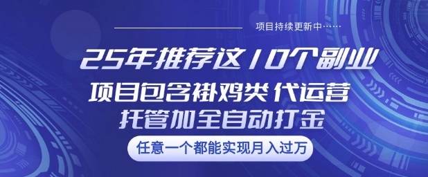 25年推荐这10个副业项目包含褂鸡类、代运营托管类、全自动打金类【揭秘】-HEIXMI（中国站）