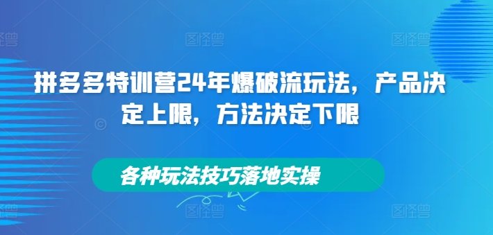 拼多多特训营24年爆破流玩法，产品决定上限，方法决定下限，各种玩法技巧落地实操-HEIXMI（中国站）