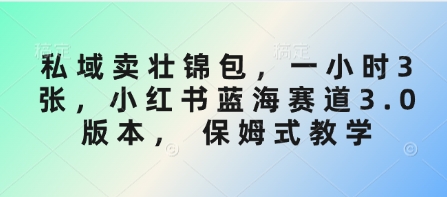 私域卖壮锦包，一小时3张，小红书蓝海赛道3.0版本， 保姆式教学-HEIXMI（中国站）