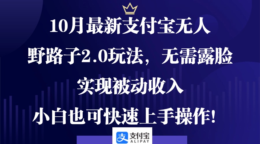 10月最新支付宝无人野路子2.0玩法，无需露脸，实现被动收入，小白也可…-HEIXMI（中国站）