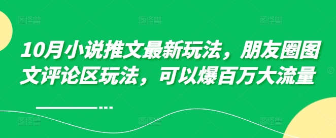 10月小说推文最新玩法，朋友圈图文评论区玩法，可以爆百万大流量 -HEIXMI（中国站）