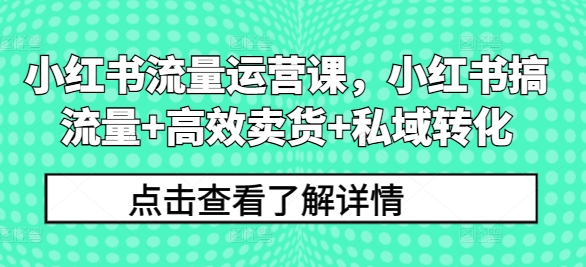 小红书流量运营课，小红书搞流量+高效卖货+私域转化-HEIXMI（中国站）