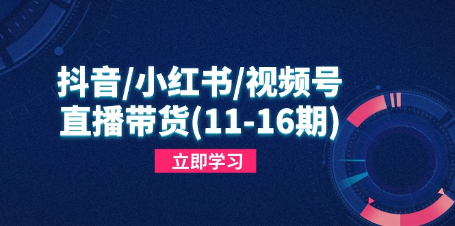 抖音/小红书/视频号/直播带货(11-16期-HEIXMI（中国站）