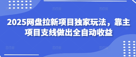 2025网盘拉新项目独家玩法，靠主项目支线做出全自动收益 - HEIXMI（中国站）-HEIXMI（中国站）