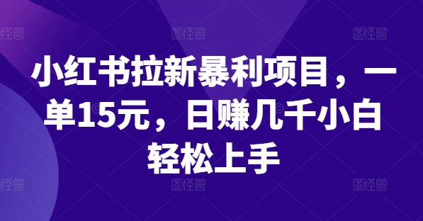小红书拉新暴利项目，一单15元，日赚几千小白轻松上手【揭秘】-HEIXMI（中国站）