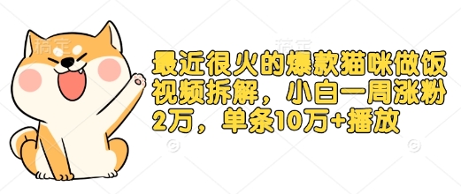 最近很火的爆款猫咪做饭视频拆解，小白一周涨粉2万，单条10万+播放(附保姆级教程)-HEIXMI（中国站）