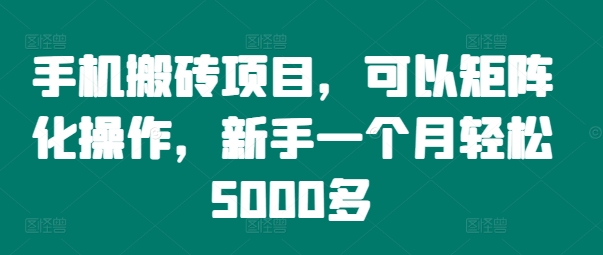 手机搬砖项目，可以矩阵化操作，新手一个月轻松5000多-HEIXMI（中国站）
