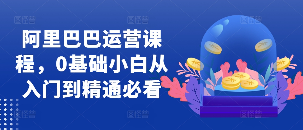 阿里巴巴运营课程，0基础小白从入门到精通必看-HEIXMI（中国站）