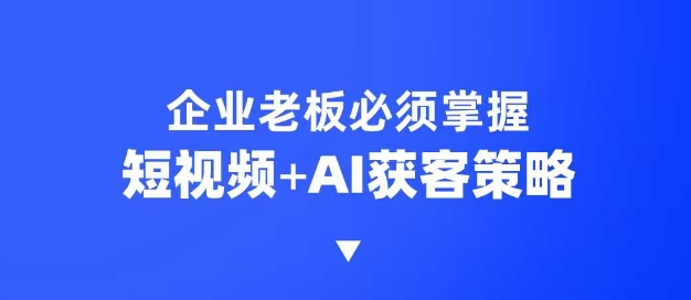企业短视频AI获客霸屏流量课，6步短视频+AI突围法，3大霸屏抢客策略-HEIXMI（中国站）