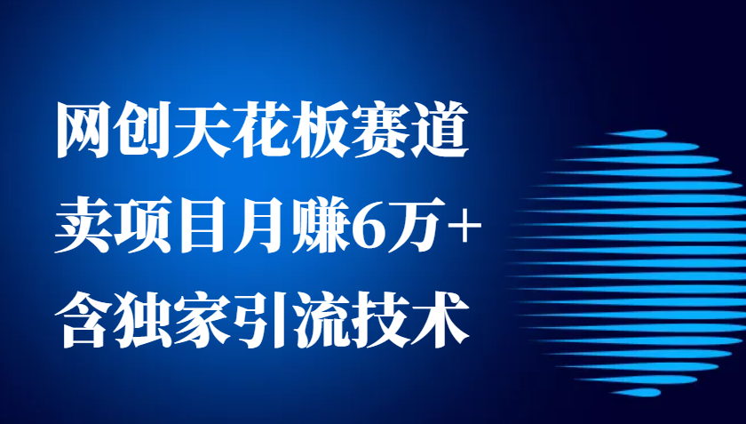 网创天花板赛道，卖项目月赚6万+，含独家引流技术(共26节课)-HEIXMI（中国站）