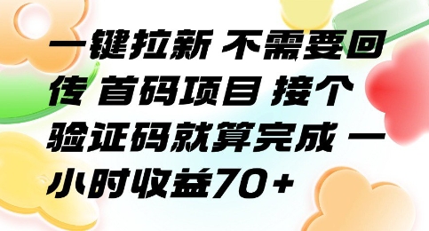 一键拉新 不需要回传 首码项目 接个验证码就算完成 一小时收益70+【揭秘】-HEIXMI（中国站）