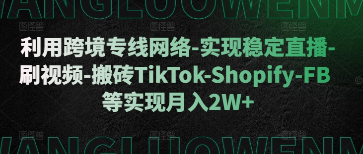 利用跨境专线网络-实现稳定直播-刷视频-搬砖TikTok-Shopify-FB等实现月入2W+【揭秘】-HEIXMI（中国站）