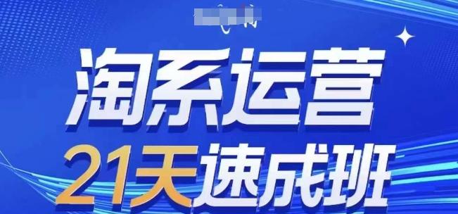 淘系运营21天速成班(更新24年7月)，0基础轻松搞定淘系运营，不做假把式-HEIXMI（中国站）