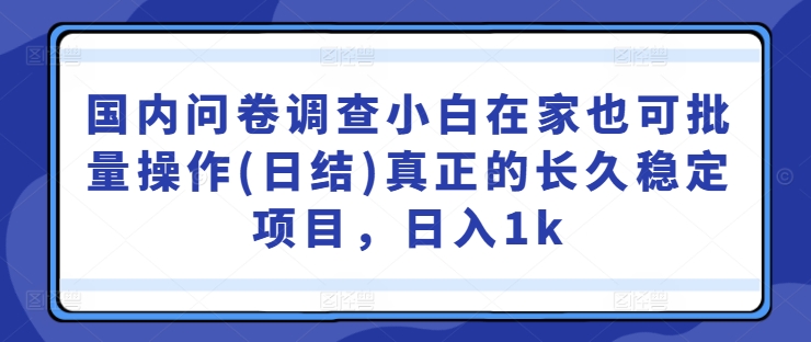 国内问卷调查小白在家也可批量操作(日结)真正的长久稳定项目，日入1k【揭秘】-HEIXMI（中国站）